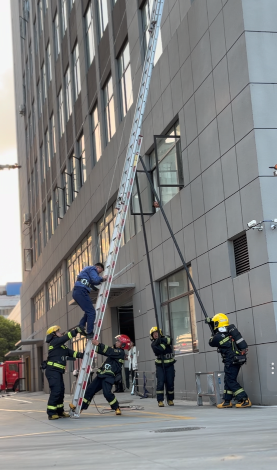 云开体育app官网登录